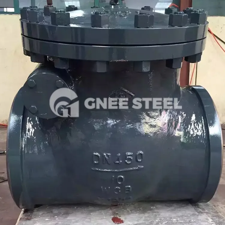 Vàlvula de retenció de ferro colat