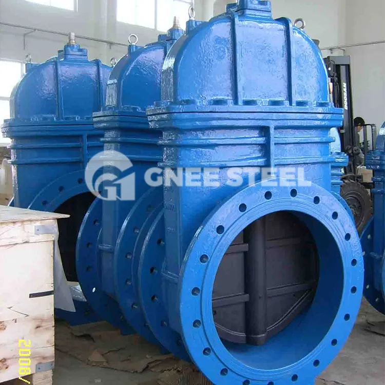 Vàlvula de compuerta CI