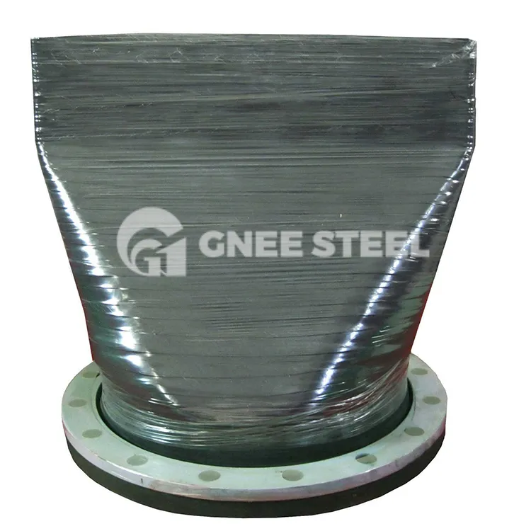 Vàlvula de verificació d'ànec