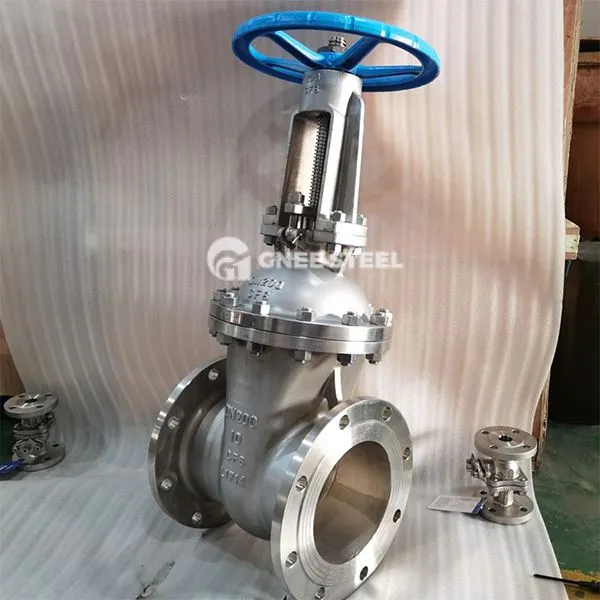 Vàlvula de la porta de falca API 600