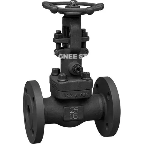 API 602 Vàlvula de porta forjada