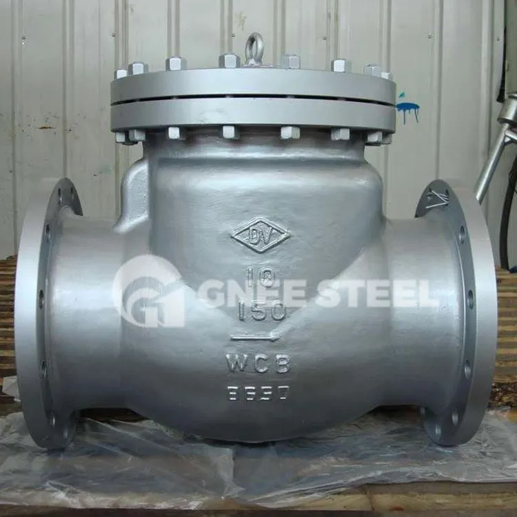 Vàlvula de retenció API 6D Swing