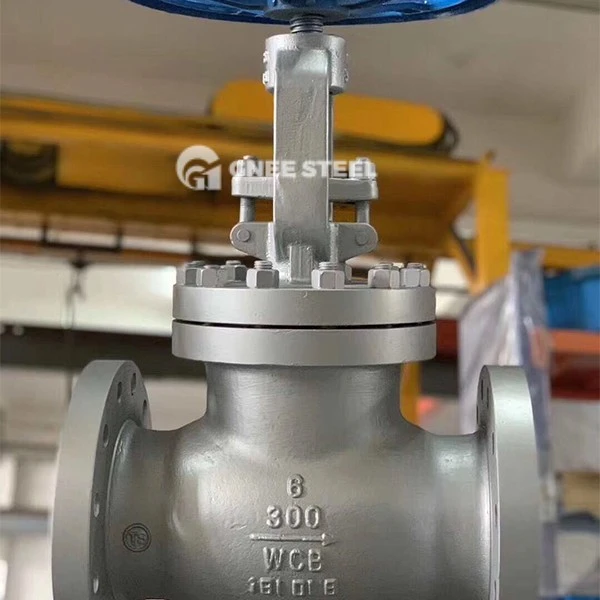 Cage Guided Globe Valve