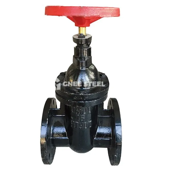 Vàlvula de la porta de ferro colat