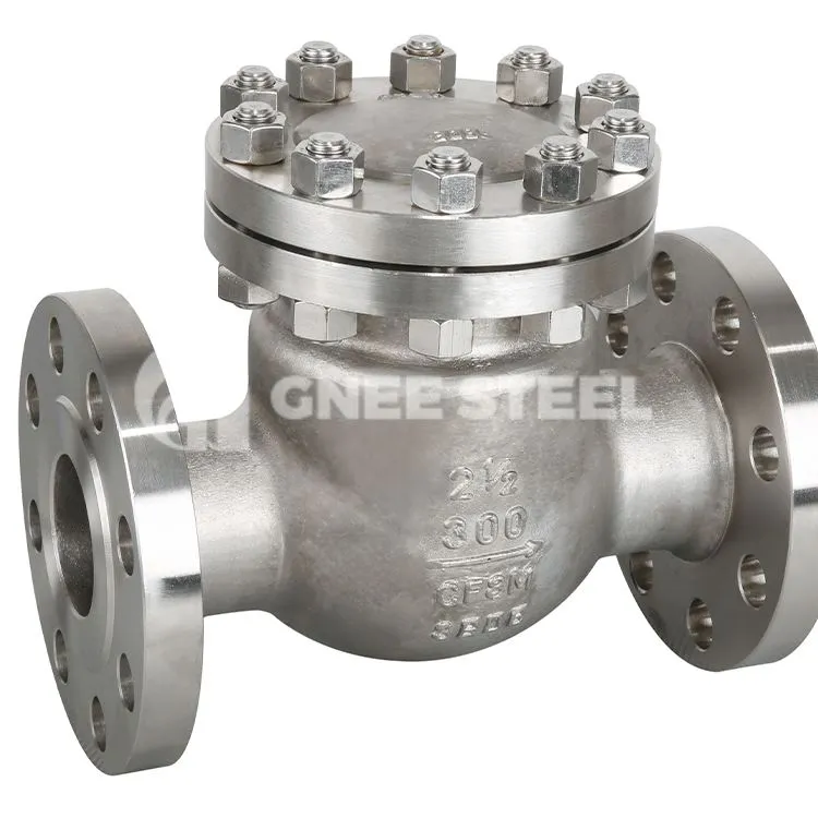 Vàlvula de retenció d'extrem amb brida