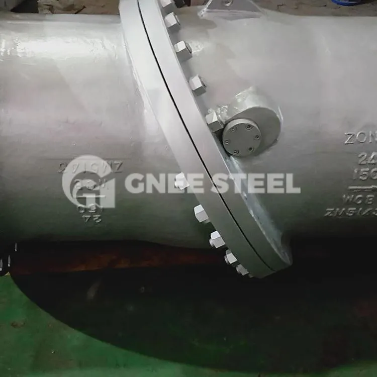 Vàlvules de retenció de disc inclinable amb brides