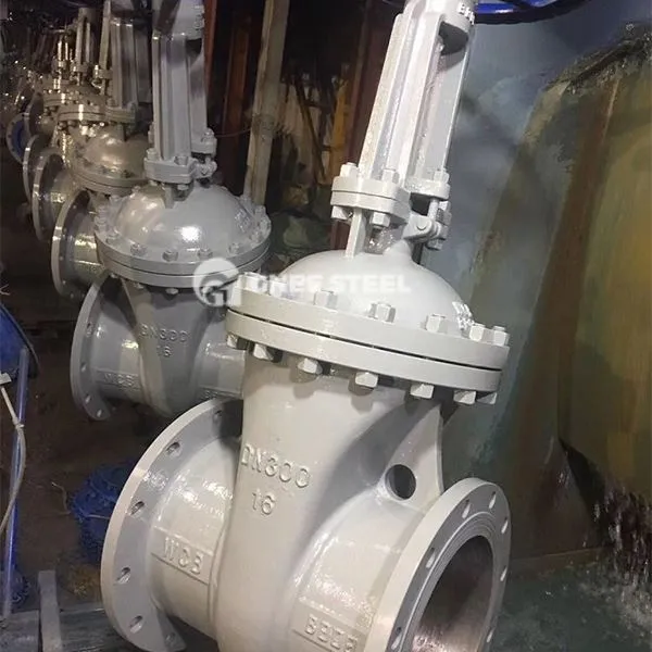 Vàlvules de la porta de falques brides