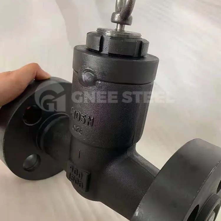 Vàlvula de retenció del pistó amb brida d'acer forjat