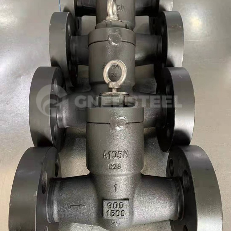 Forged Steel Piston Check Valve
