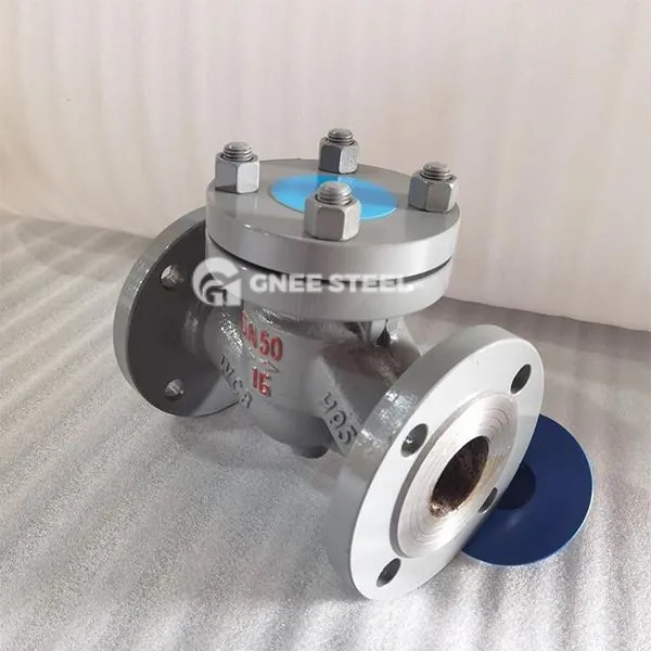 Vàlvula de comprovació de l'elevació horitzontal