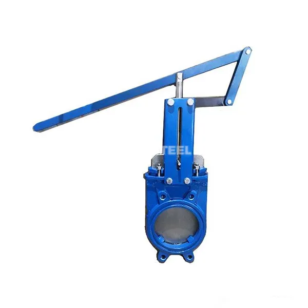 Vàlvula de la porta de palanca