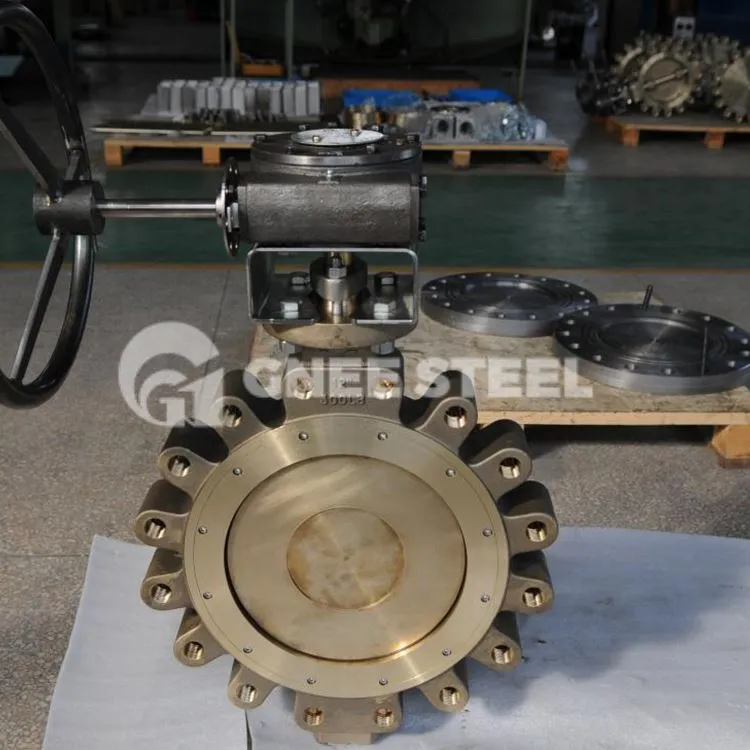 Vàlvula de retenció tipus lug