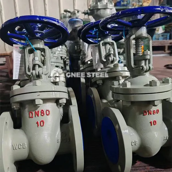 Vàlvules manuals de la porta de falca