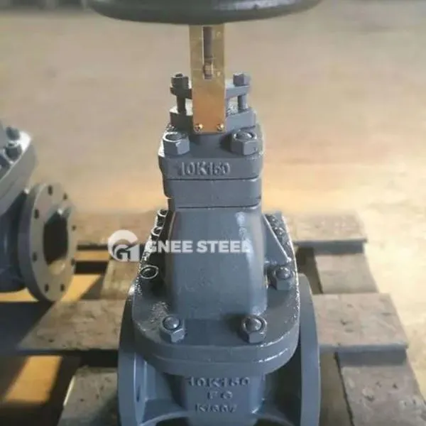 Vàlvula de porta marina