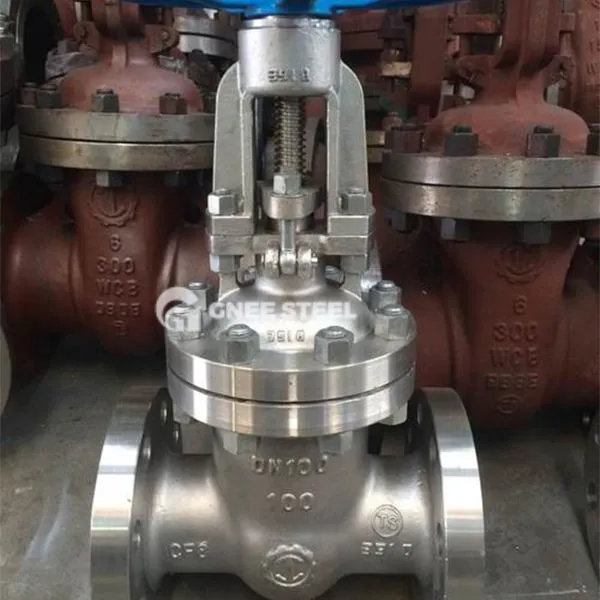 Vàlvula de porta mecànica