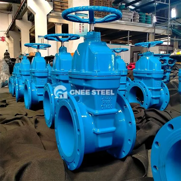 Vàlvula de la porta de ferro colat de segellal metàl·lica