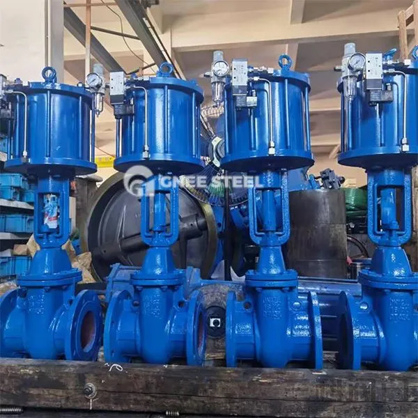 Vàlvules de porta de falca pneumàtica