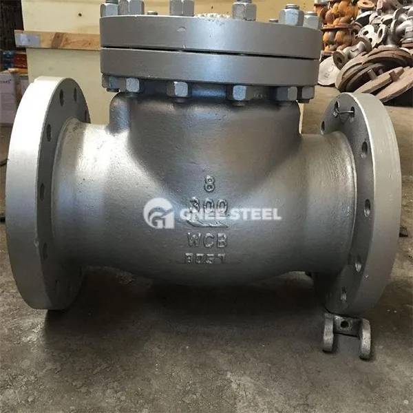 horizontal check valve horizontal check valve