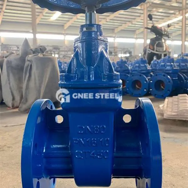 Vàlvula de porta de ferro colat de seient resistent