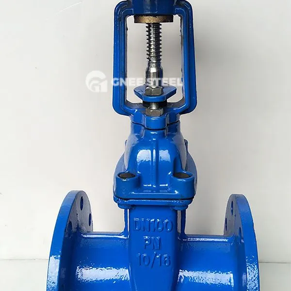 Vàlvules de la porta del seient resistent