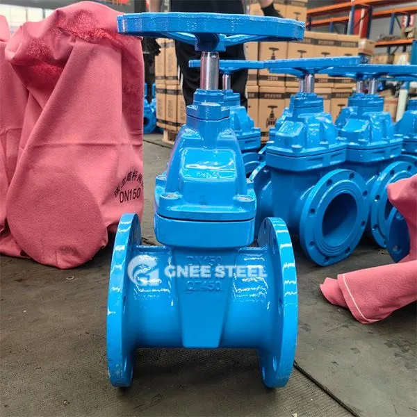 Vàlvula de la porta de goma