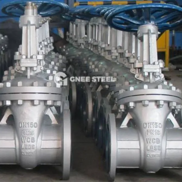 Vàlvules de la porta de la falca d'acer inoxidable