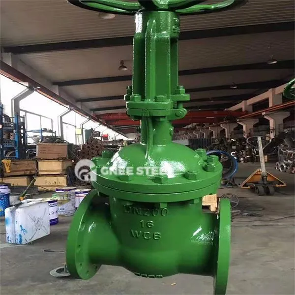 Vàlvula de la porta de buit