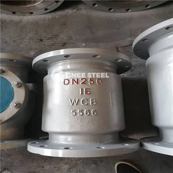 Vàlvula de verificació de l'elevació vertical