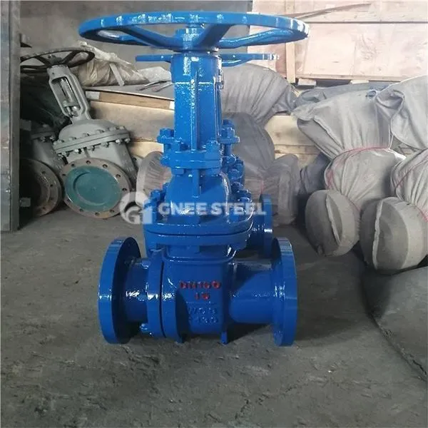 Vàlvula de la porta de la gorra